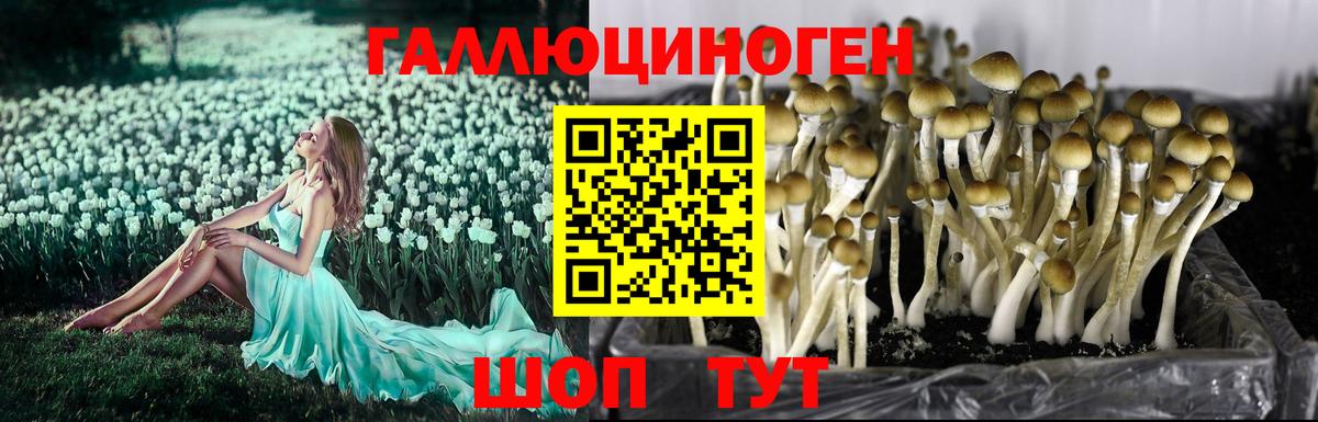 Галлюциногенные грибы ЛСД  Вход с VPN  Анапа 