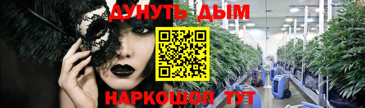 Шишки марихуана сатива Анапа